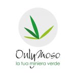 logo onlymoso