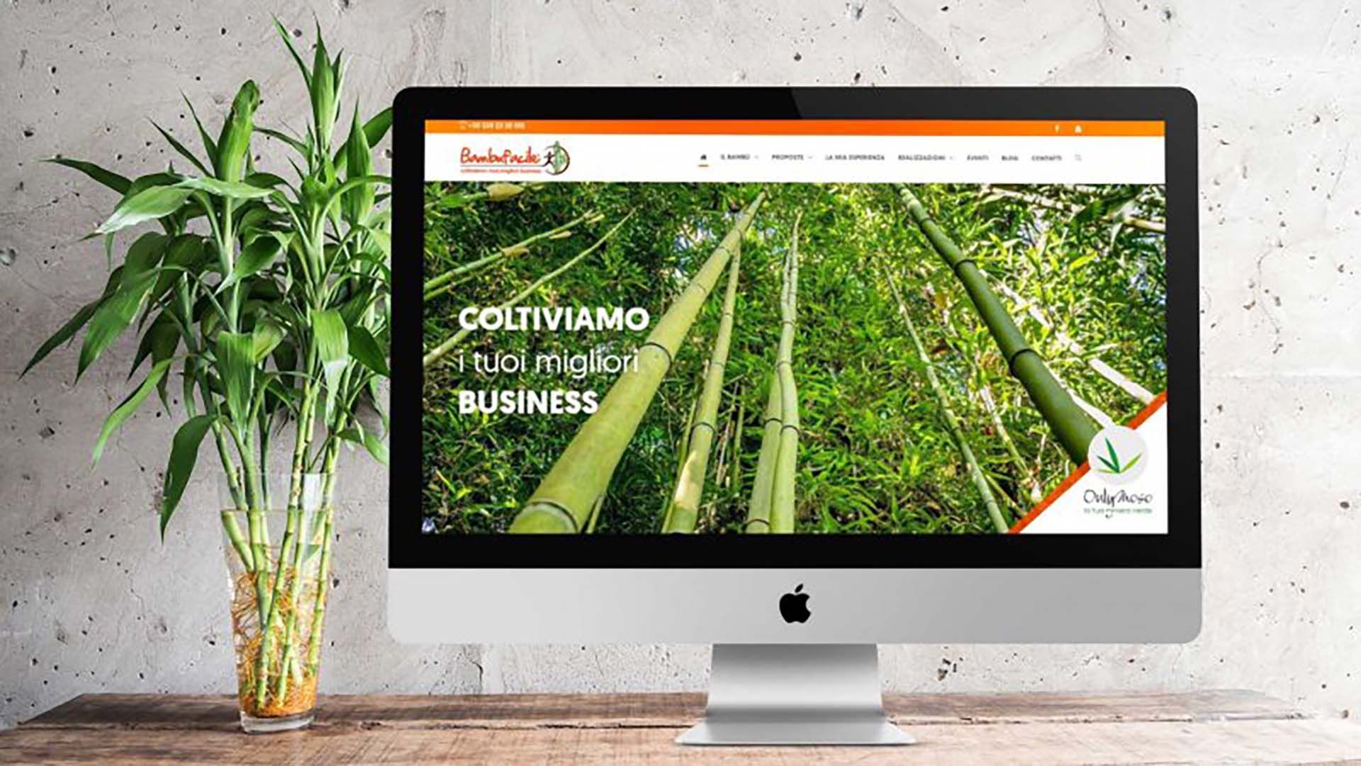 nuovo sito web